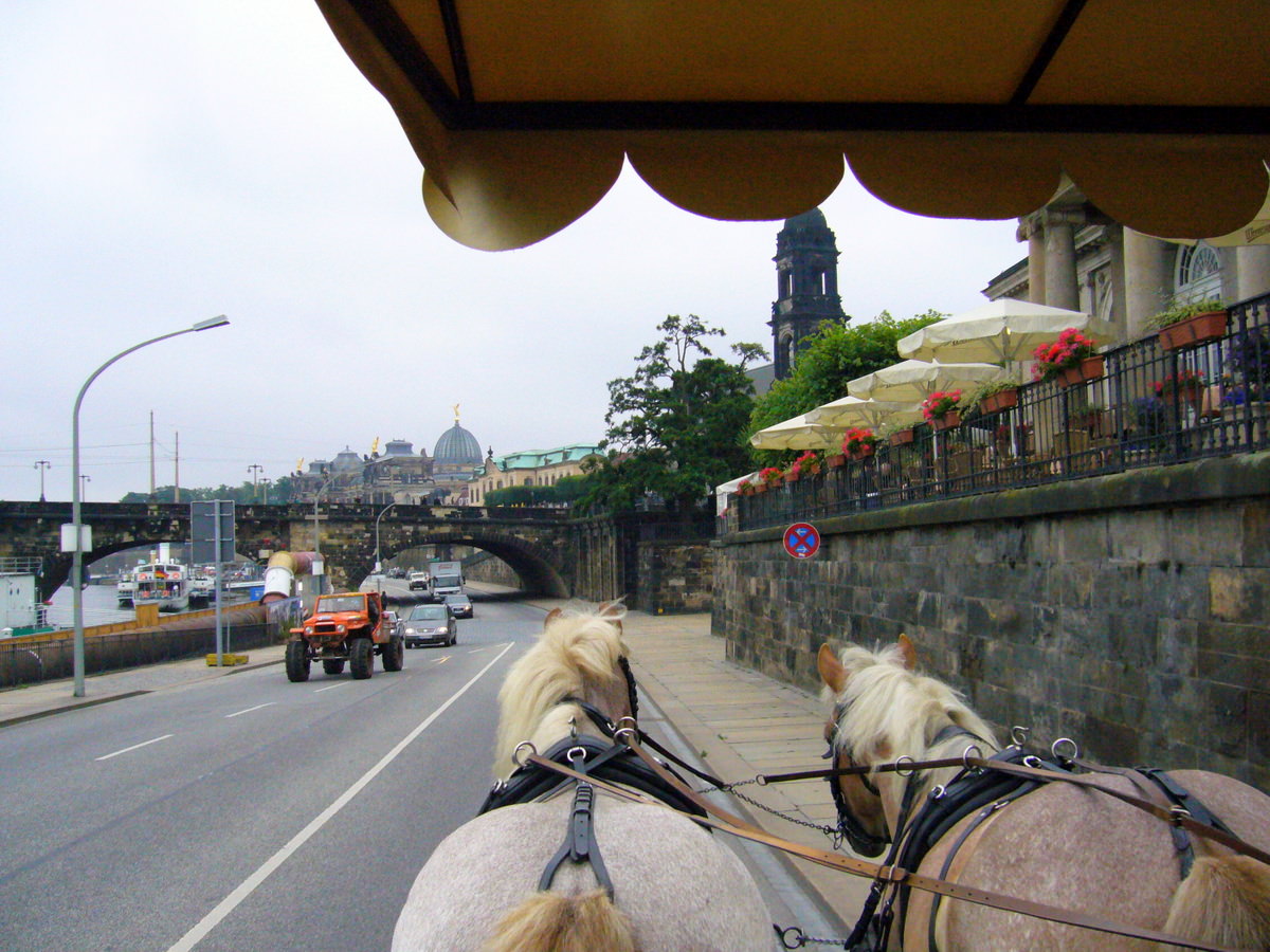 Kutschfahrt an der Elbe