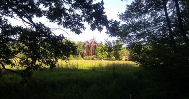 Kloster Ihlow vom Wald