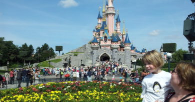 Disneyland Schloss