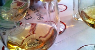 Whiskytasting Gläser