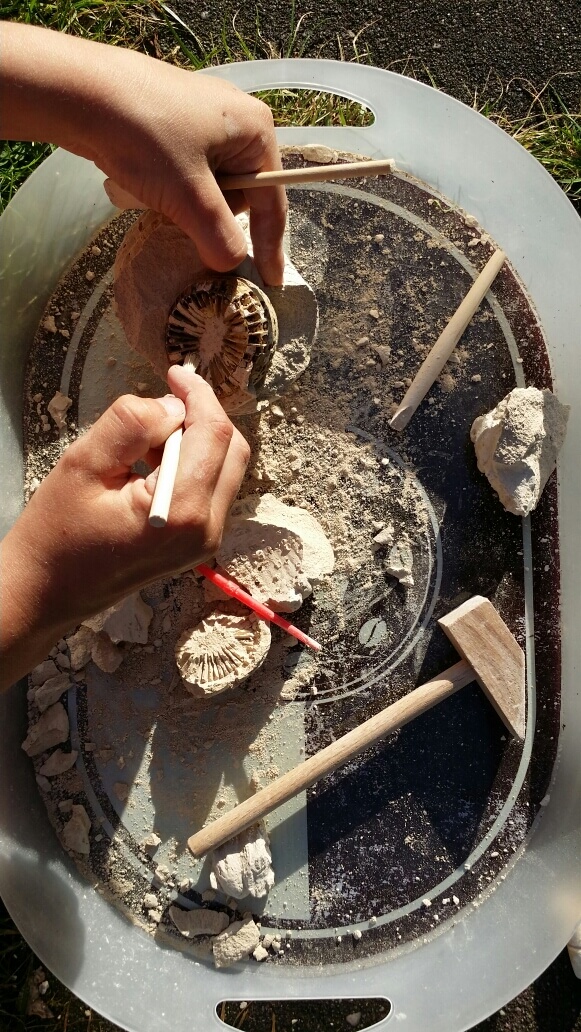 Fossilien reinigen