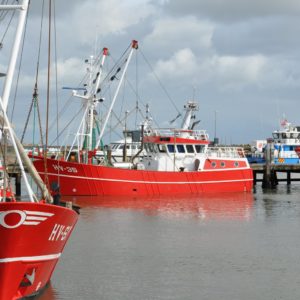 Hafen Romo