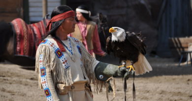 Winnetou mit dem Seeadler