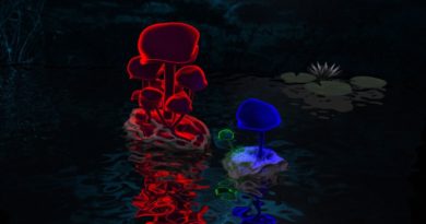 Magic Mushrooms in 3Ds Max