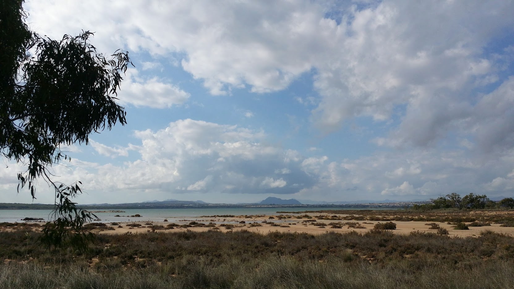 An der grünen Lagune
