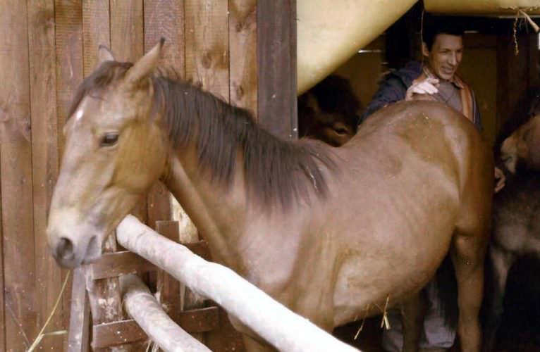 Norbert im Stall Juni 1976