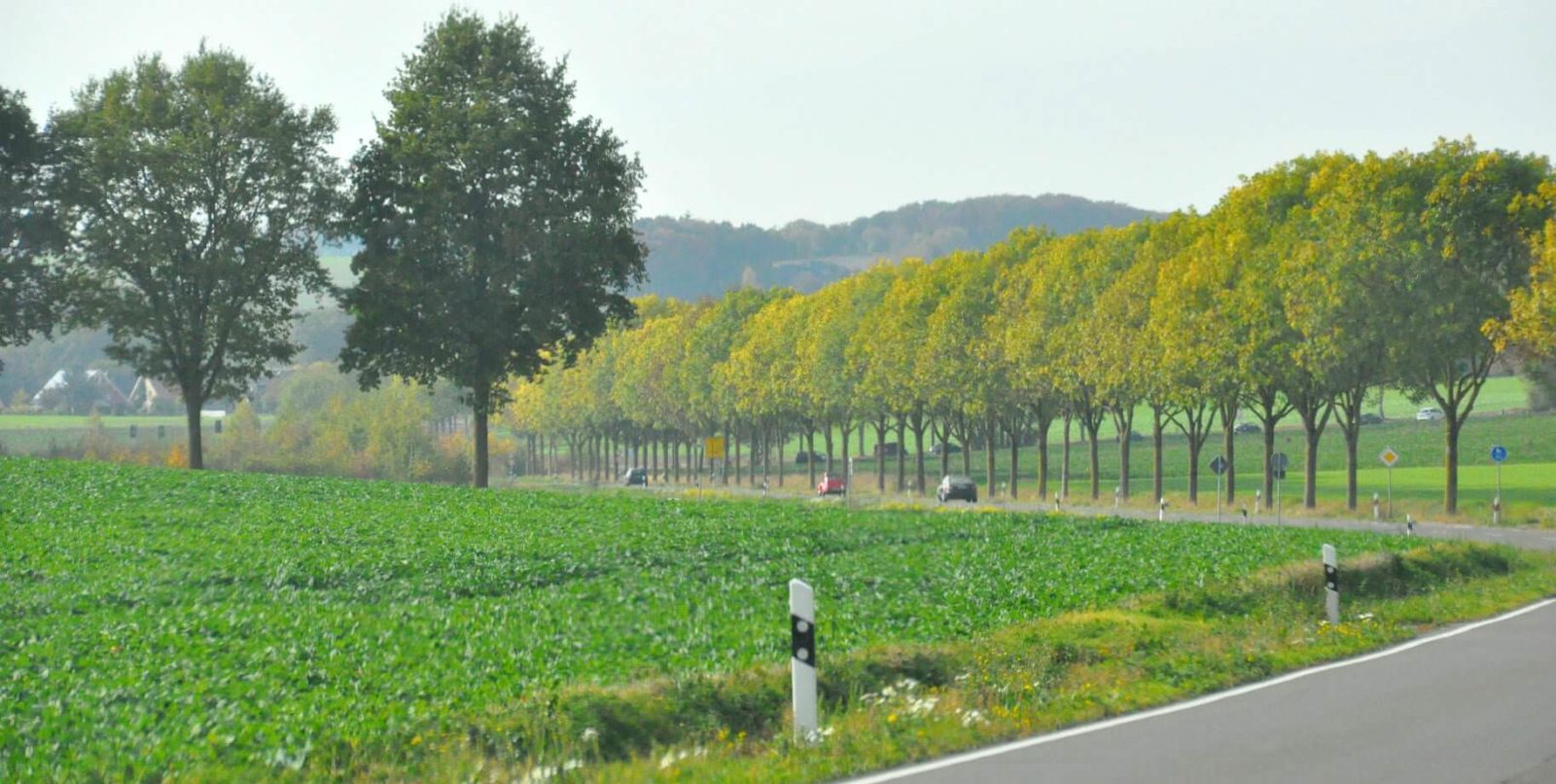 kein plattes Land wie bei uns