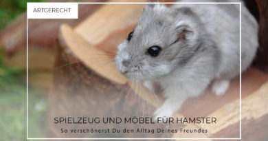 Kleiner Hamster