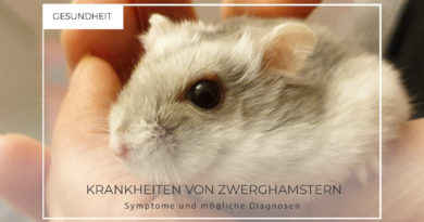 Krankheiten von Zwerghamstern