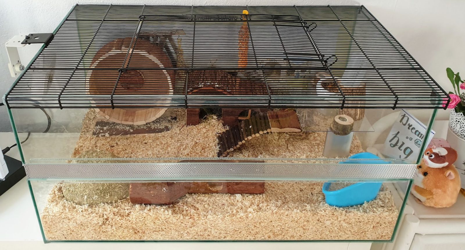 Unser Nagarium