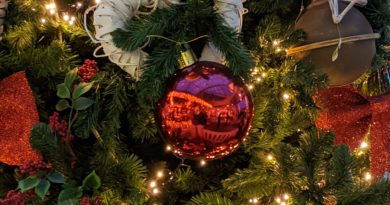 Geschmückter Weihnachtsbaum
