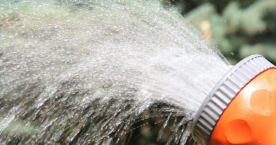 Wasser für den Garten speichern
