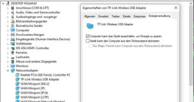 Windows Gerätemanager Netzwerkadapter